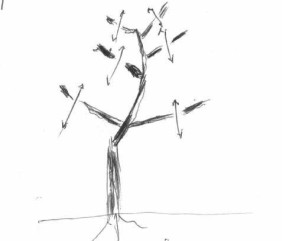 Description: Description: C:\Users\d\Desktop\Angoor site material\planting-directions_files\image004.gif